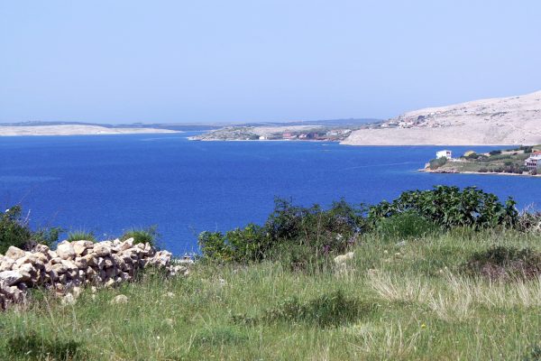 Zubovići - photo 8