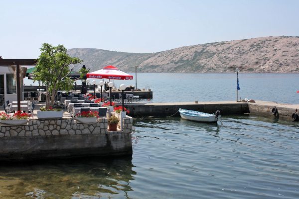 Barbat - photo 8
