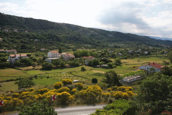 Mundanije - photo 5