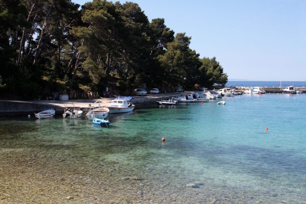 Suha Punta - photo 2