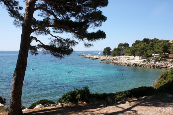 Suha Punta - photo 4