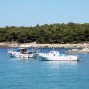 Suha Punta - photo 5