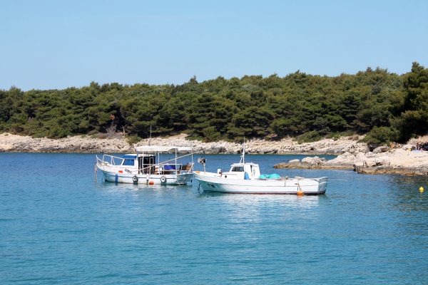 Suha Punta - photo 5