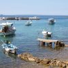 Suha Punta - photo 6
