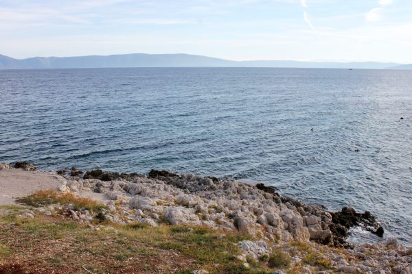 Ravni - photo 9