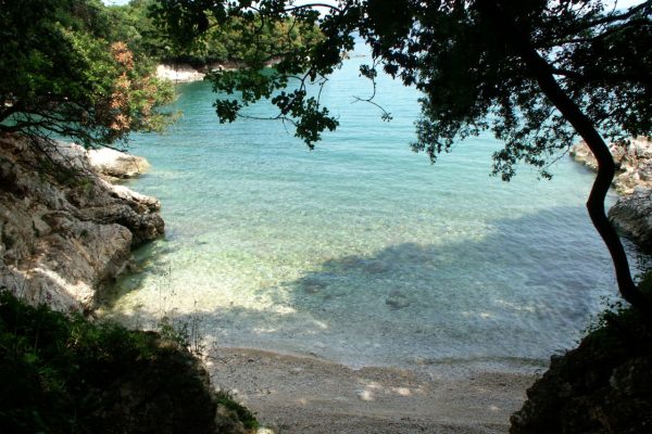 Mali Portlug - photo 7
