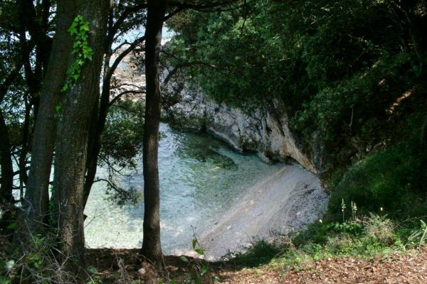 Mali Portlug - photo 10