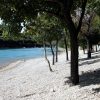 Dražine - photo 17