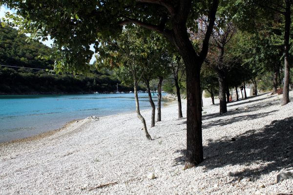 Dražine - photo 17