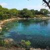 Ubli - photo 35