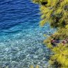 Ubli - photo 36