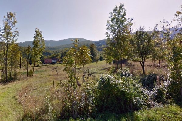 Jablan - photo 1