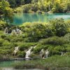 Čamerovac - photo 2