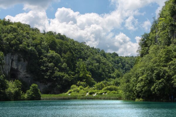 Čujića Krčevina - photo 15