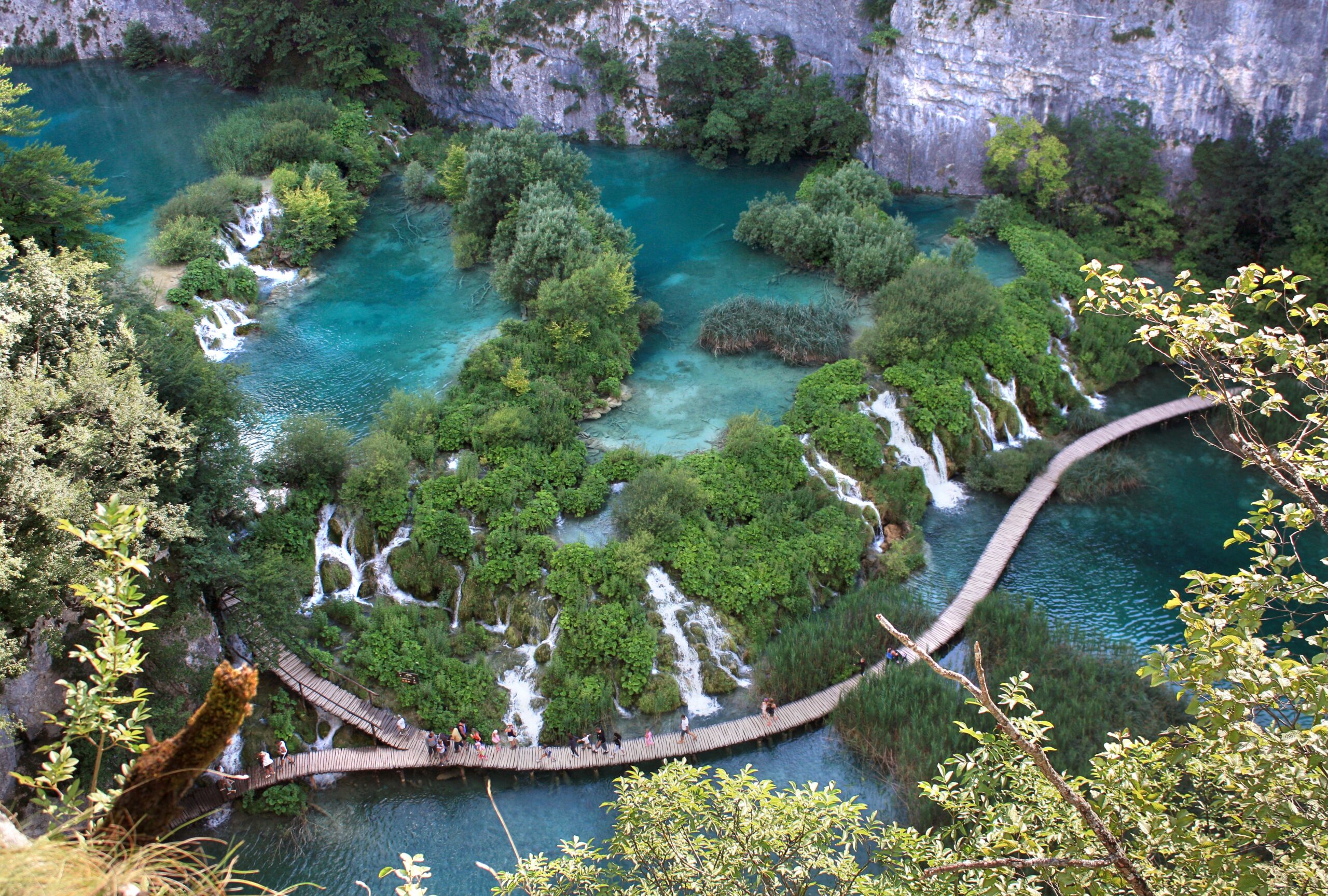 Čujića Krčevina