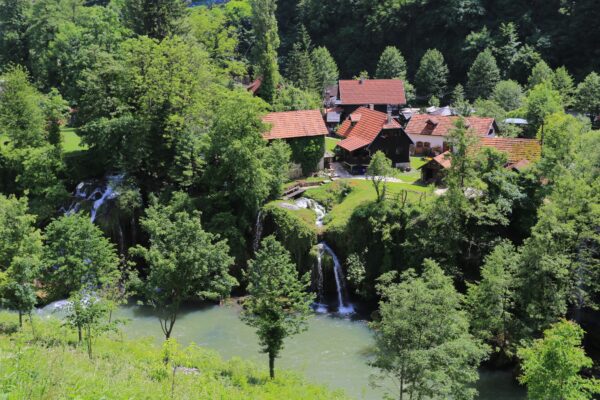 Donji Cerovac - photo 7