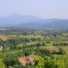 Grabovac - photo 1