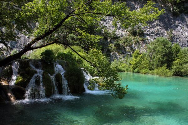 Grabovac - photo 11
