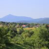 Grabovac - photo 2