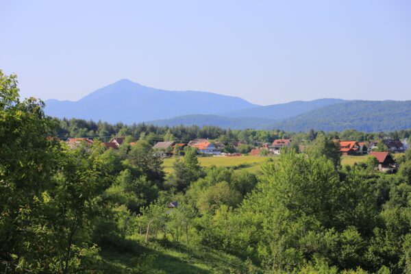 Grabovac - photo 2
