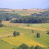 Grabovac - photo 4
