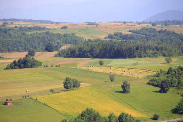 Grabovac - photo 4