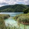 Irinovac - photo 8