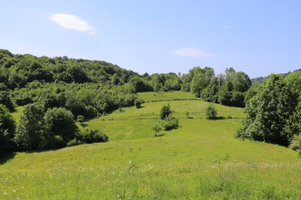 Jelov Klanac - photo 1