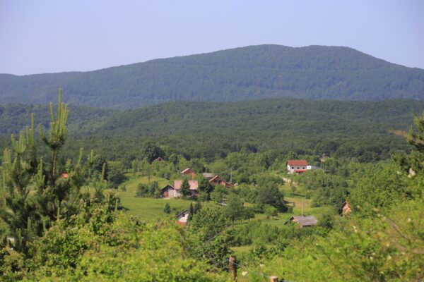 Jelov Klanac - photo 5
