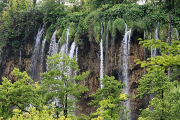Lađevačko Selište - photo 17