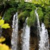 Lipovac - photo 11