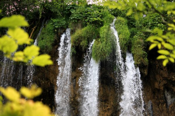 Lipovac - photo 11