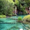 Lipovac - photo 12