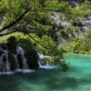 Lipovac - photo 13