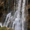 Lipovac - photo 14