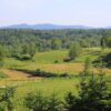 Lipovac - photo 2