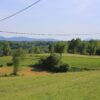 Lipovac - photo 3