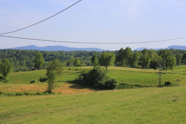 Lipovac - photo 3