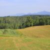 Lipovac - photo 4