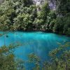 Lipovac - photo 7