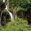 Lipovac - photo 9