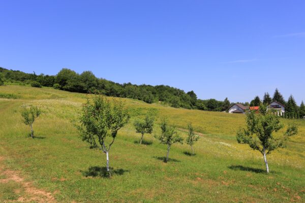 Oštarski Stanovi - photo 2