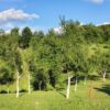 Rastovača - photo 13