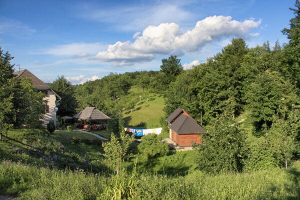 Rastovača - photo 14