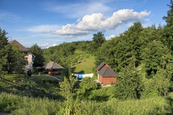 Rastovača