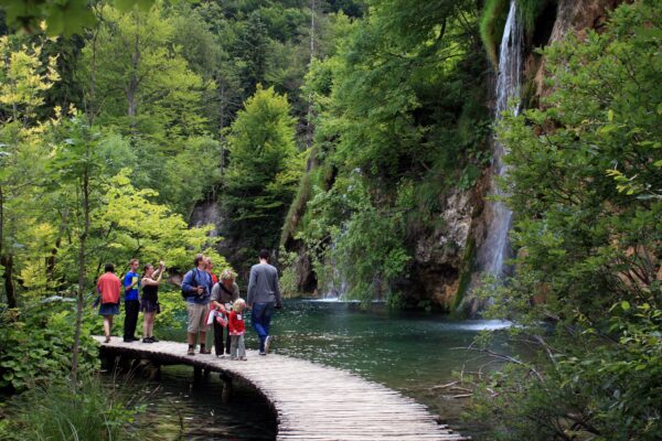 Rastovača - photo 4