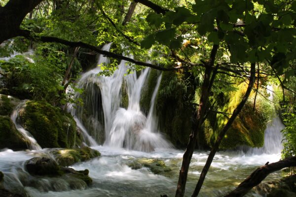 Rastovača - photo 7