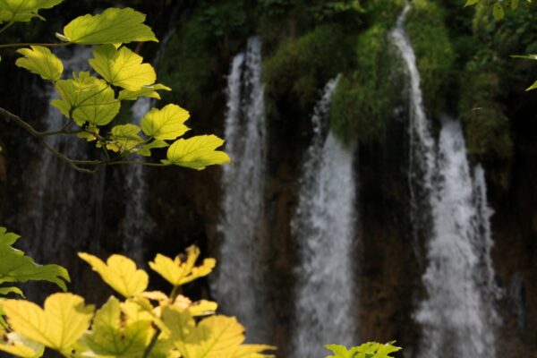 Selište Drežničko - photo 13