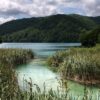 Selište Drežničko - photo 9