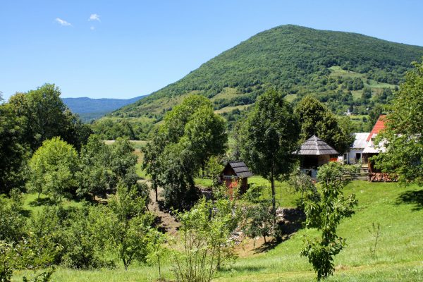 Smoljanac - photo 3